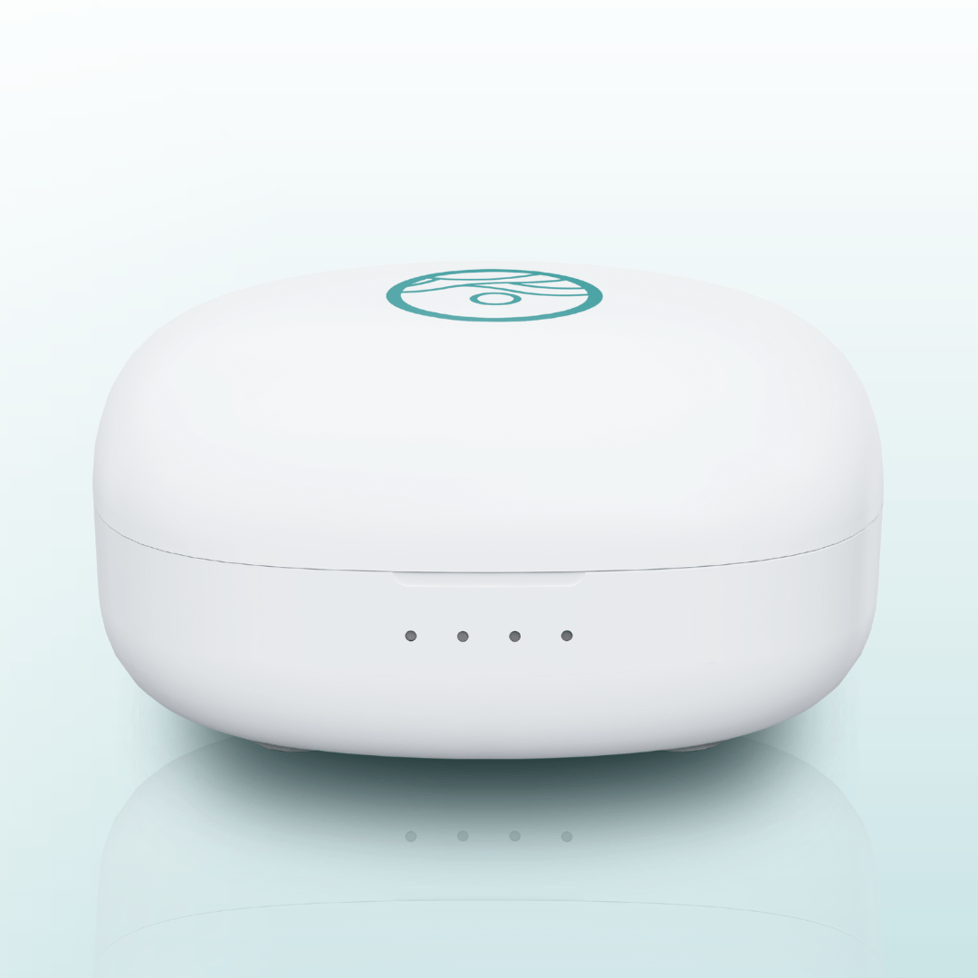 Luxury Charging Case