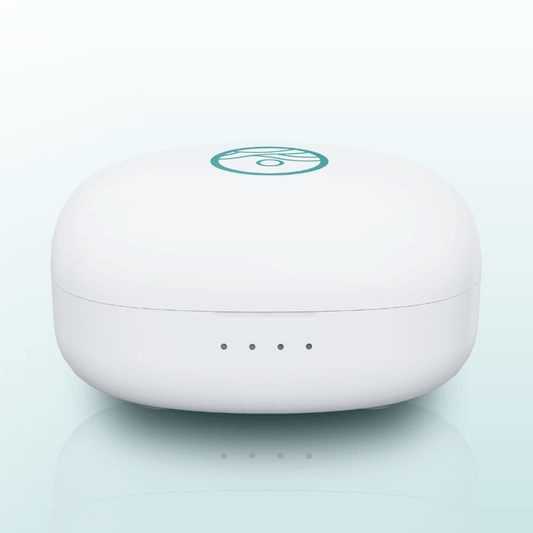 Luxury Charging Case