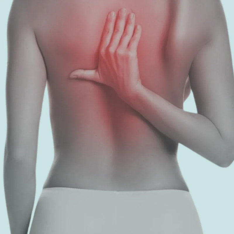 Back Support