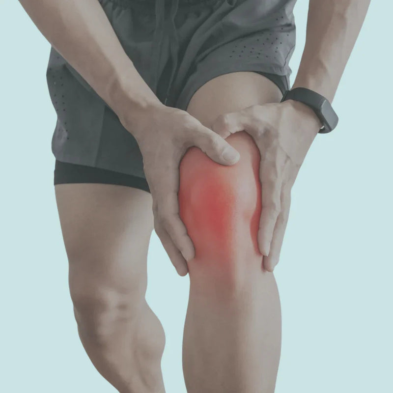 Knee Support